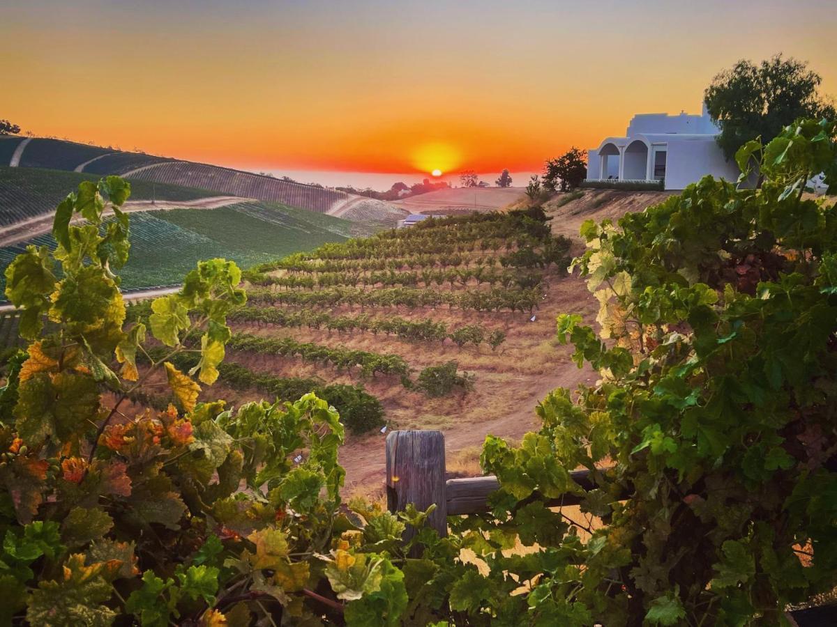 Sirena Vineyard Resort Paso Robles Exteriér fotografie